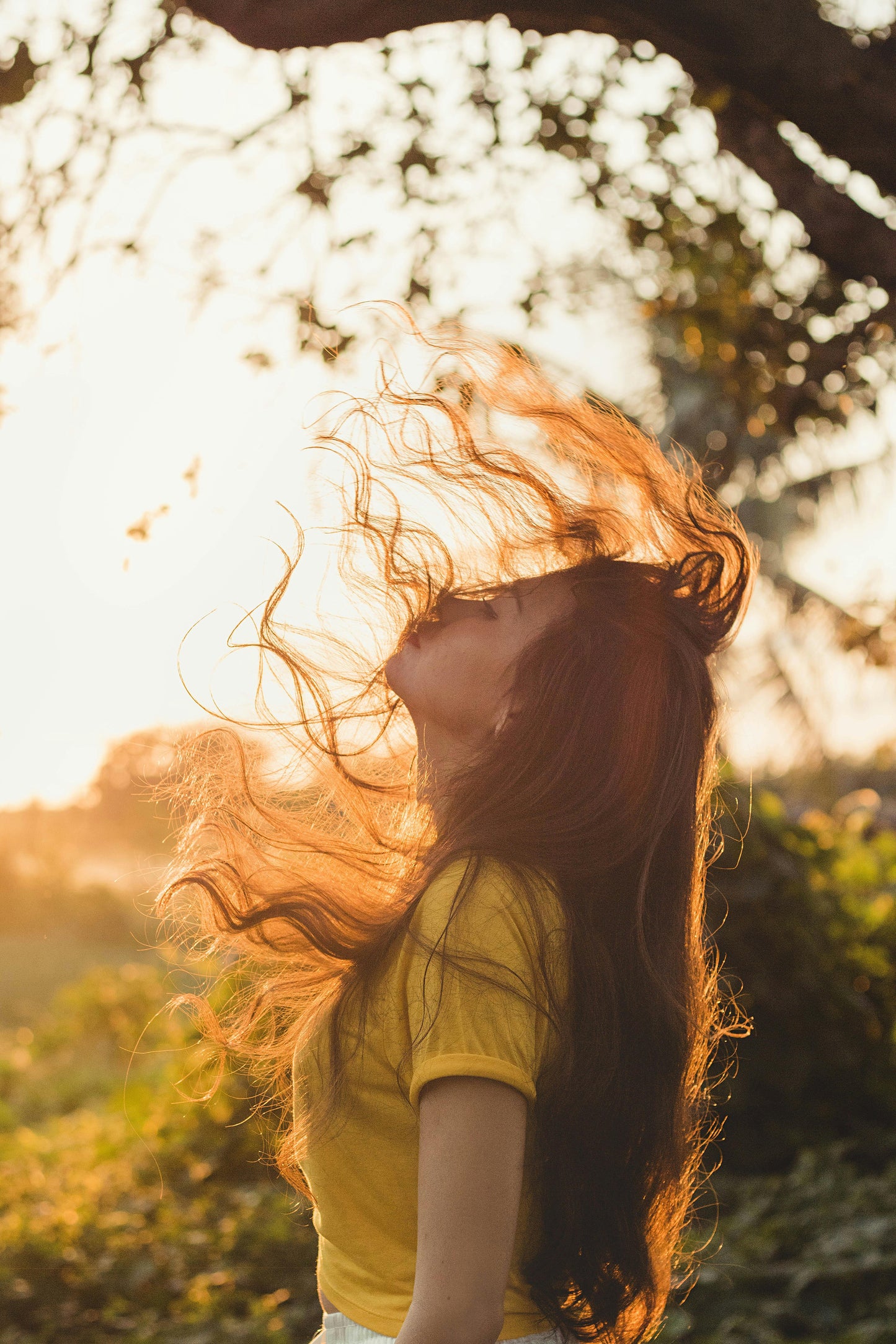 Organic Rosemary Hair Oil