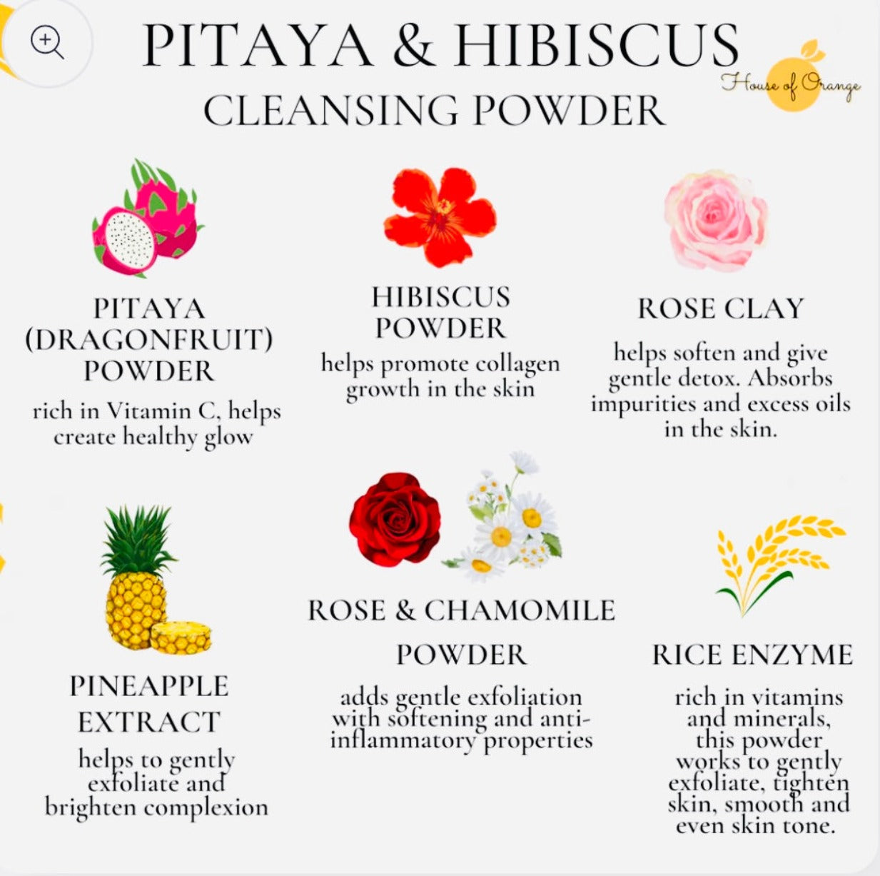 Pitaya & Hibiscus Cleansing Facial Powder - Skin of Light 